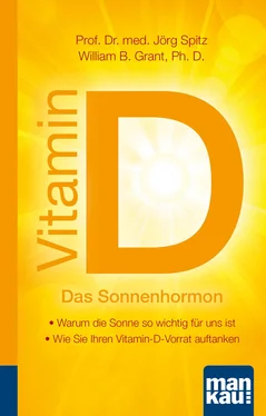 Jorg Spitz Vitamin D - Das Sonnenhormon. Kompakt-Ratgeber обложка книги