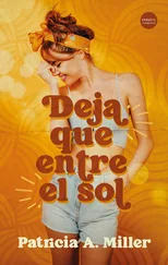 Patricia A. Miller - Deja que entre el sol