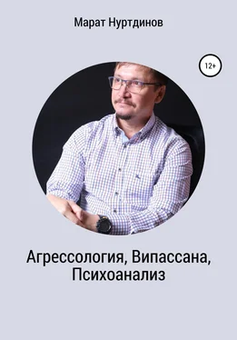 Марат Нуртдинов Агрессология, Випассана, Психоанализ обложка книги