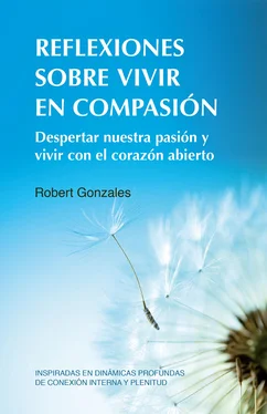 Robert Gonzales Reflexiones sobre vivir en compasión обложка книги