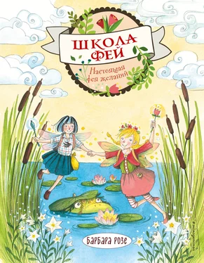 Барбара Розе Настоящая фея желаний обложка книги