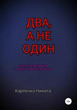 Никита Карпенко Два, а не один обложка книги