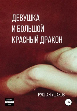 Руслан Ушаков Девушка и Большой Красный Дракон обложка книги