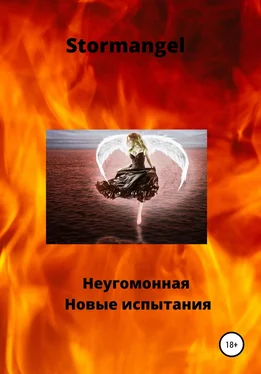 Stormangel Неугомонная. Новые испытания обложка книги