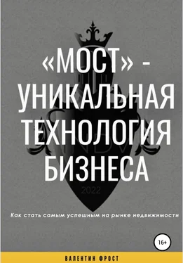 Валентин Фрост «Мост» – уникальная технология бизнеса обложка книги