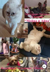 Наталья Молчанова - Сказка «Мойва и Айва»