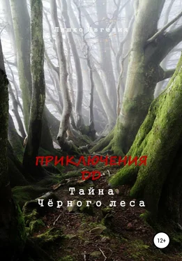 Евгения Ляшко Приключения ДД. Тайна Чёрного леса обложка книги