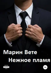 Марин Вете - Нежное пламя