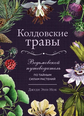 Джуди Энн Нок Колдовские травы. Ведьмовской путеводитель по тайным силам растений обложка книги