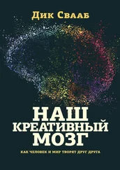 Дик Свааб - Наш креативный мозг. Как человек и мир творят друг друг