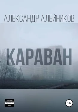 Александр Алейников Караван обложка книги