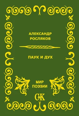 Александр Росляков Паук и дух обложка книги