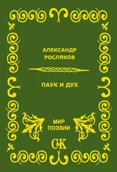 Александр Росляков - Паук и дух