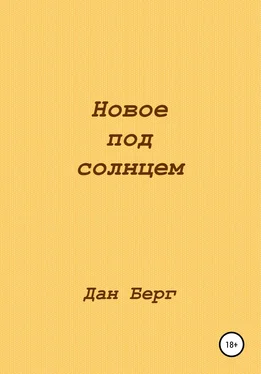 Дан Берг Новое под солнцем обложка книги