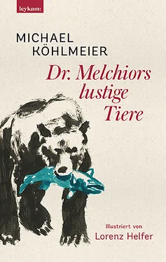 Michael Kohlmeier Dr. Melchiors lustige Tiere обложка книги
