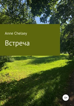 Anne Chelsey Встреча обложка книги