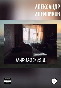 Александр Алейников Мирная жизнь обложка книги
