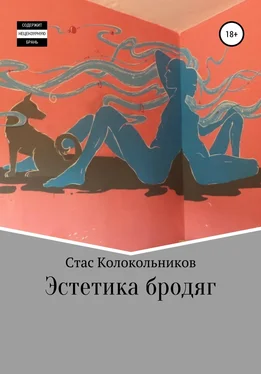 Стас Колокольников Эстетика бродяг обложка книги