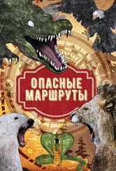 Генри Райдер Хаггард - Опасные маршруты