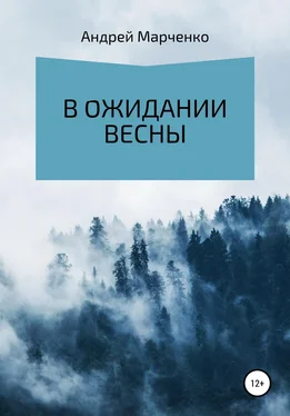Андрей Марченко В ожидании весны обложка книги