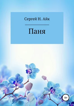 Сергей Н. Айк Паня обложка книги