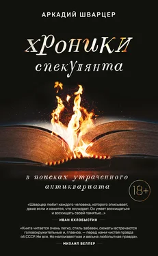 Аркадий Шварцер Хроники спекулянта. В поисках утраченного антиквариата обложка книги