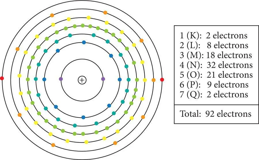 Figure 23 Distribution of electrons in the principal quantum levels electron - фото 24