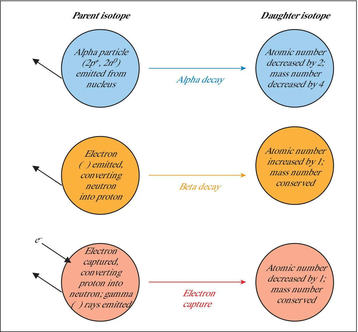 Figure 312 Three types of radioactive decay alpha decay beta decay and - фото 61
