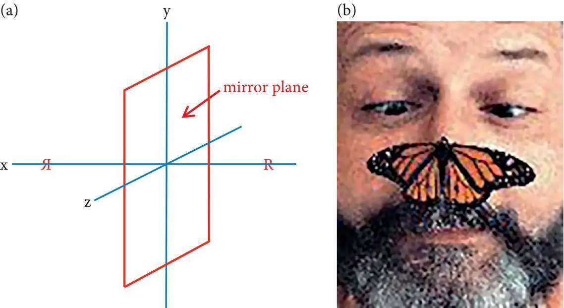 Figure 44Two and threedimensional motifs that illustrate the concept of - фото 70