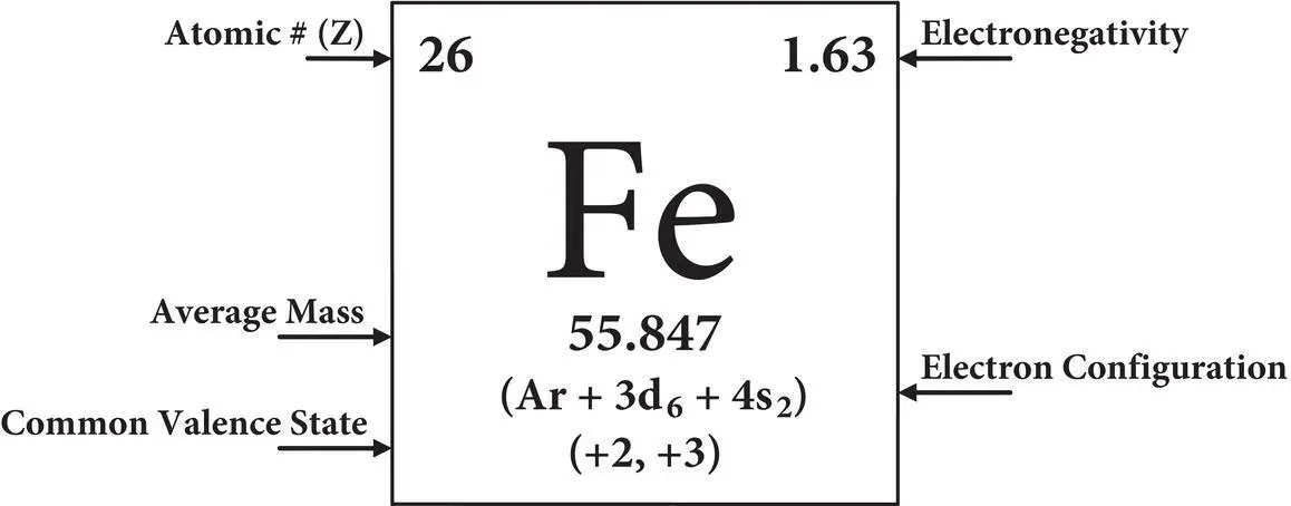 Simplified periodic table of the elements electronegativities common and - фото 29