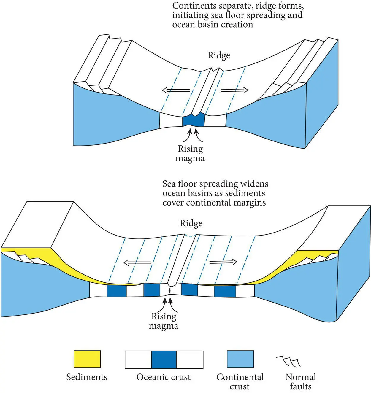Figure 16 Model showing the growth of ocean basins by sea floor spreading from - фото 9