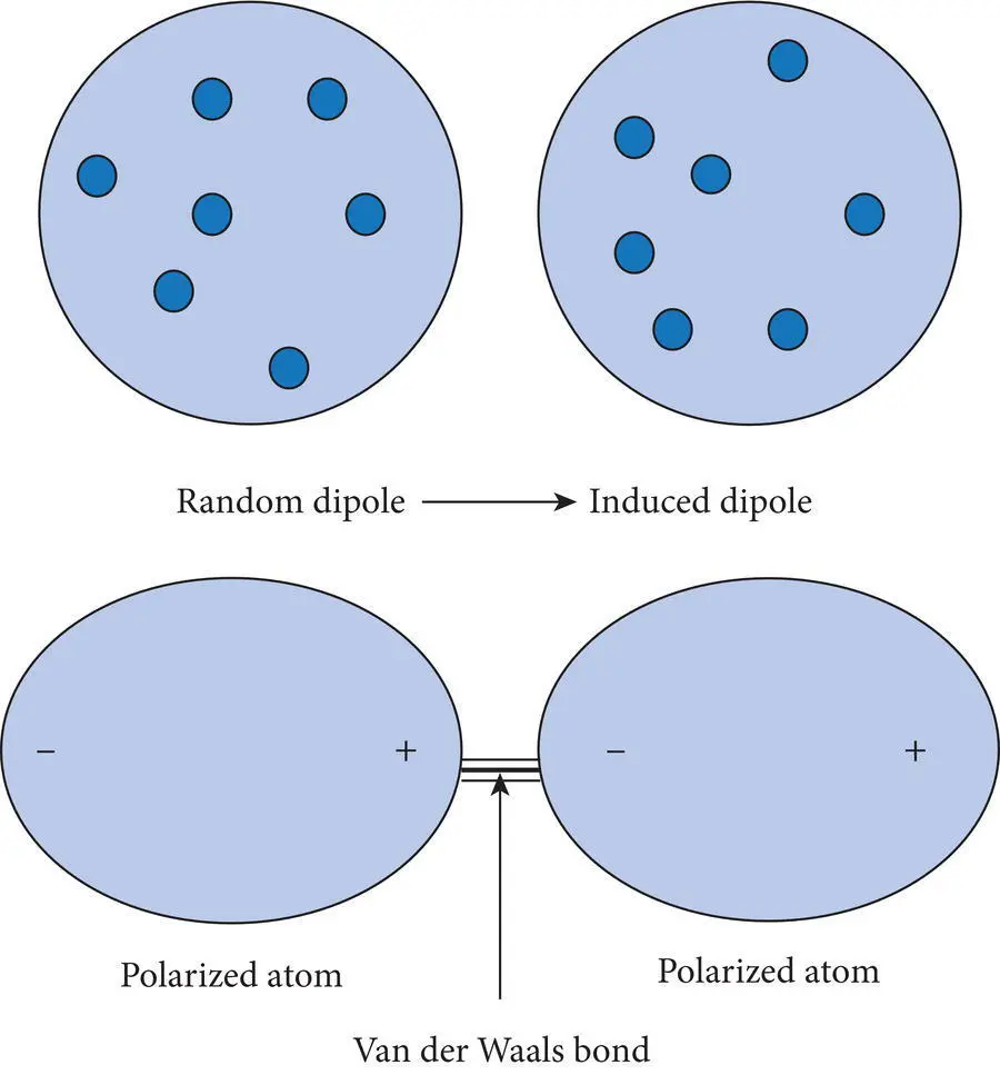 Figure 217 Van der Waals bonding occurs when one atom becomes dipolar as the - фото 42