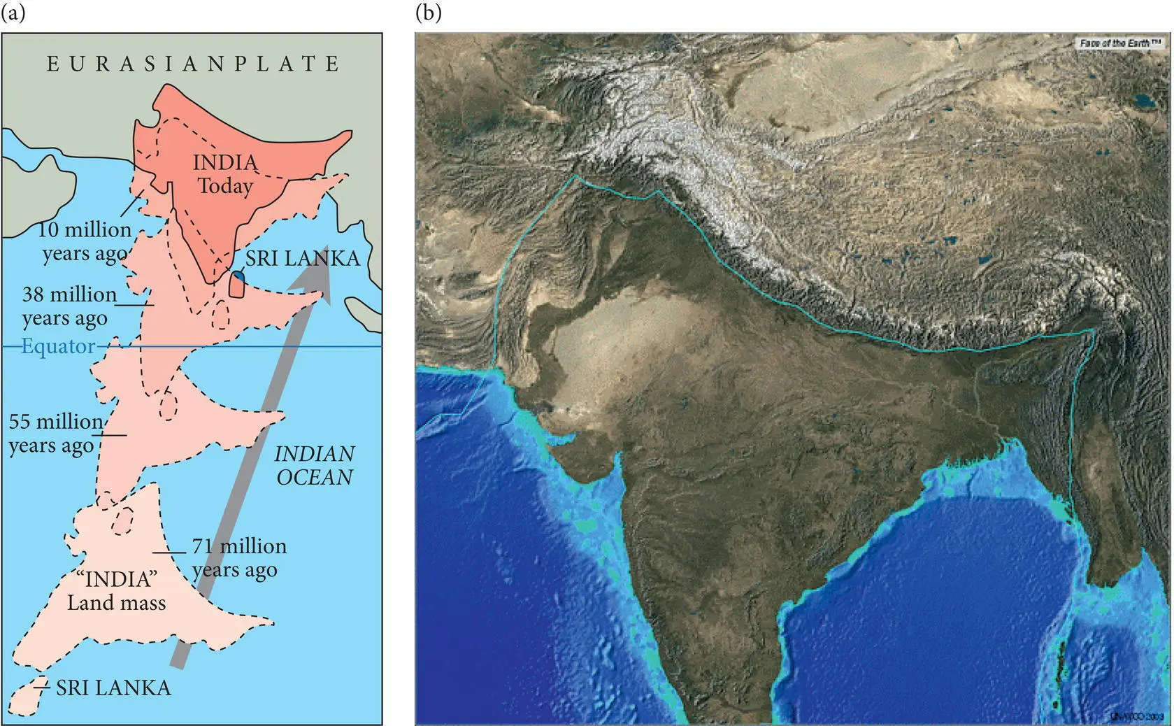 Figure 114 a Diagram depicting the convergence of India and Asia which - фото 17