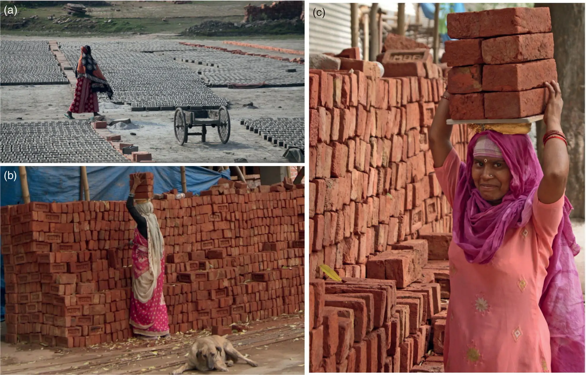 Figure 11 Harappan style of brick production from clay a Process of sun - фото 11