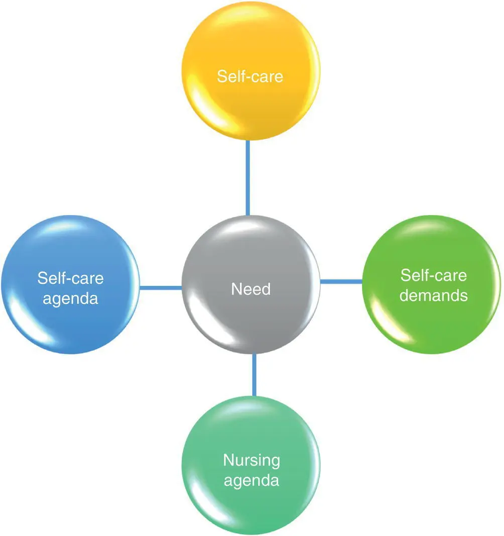 Figure 23 Orems theory of selfcare deficit Figure 24 Activities of - фото 4