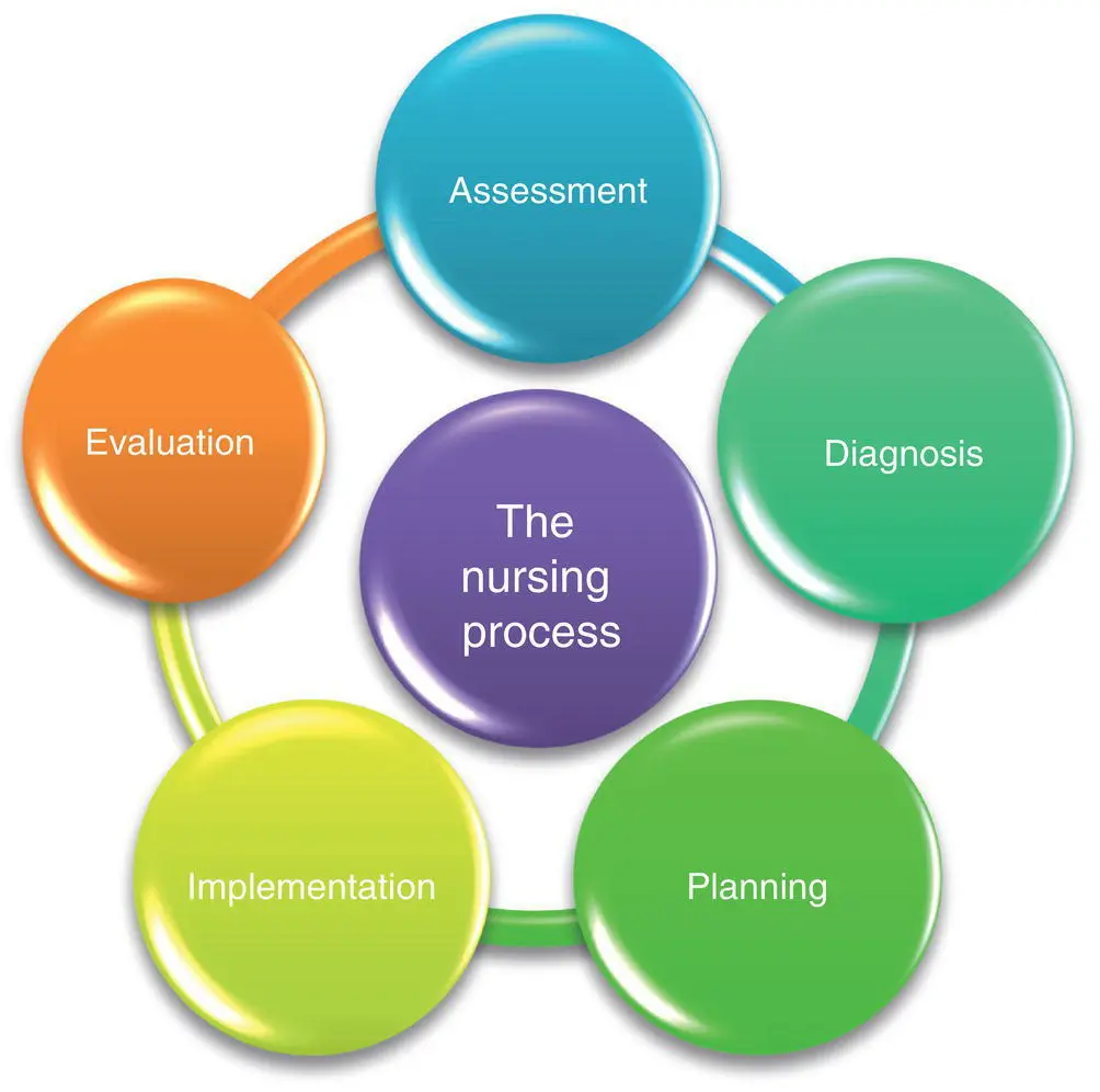 Figure 21 The nursing process Figure 22 Hendersons needs theory - фото 2