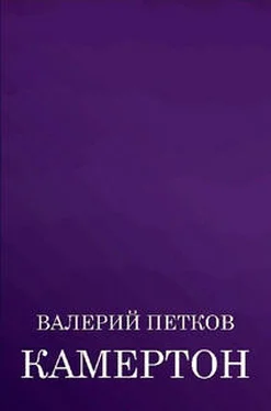 Валерий Петков Камертон (сборник) обложка книги