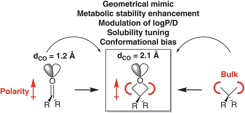 Figure 25 Comparison between carbonyl gemdimethyl and oxetane groups - фото 33
