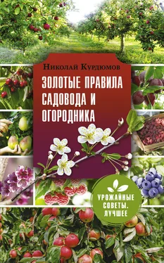 Николай Курдюмов Золотые правила садовода и огородника. 7 секретов большого урожая обложка книги