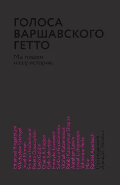 Сборник Голоса Варшавского гетто. Мы пишем нашу историю обложка книги