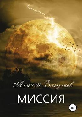 Алексей Загуляев Миссия обложка книги