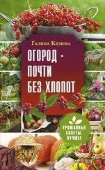 Галина Кизима - Огород – почти без хлопот
