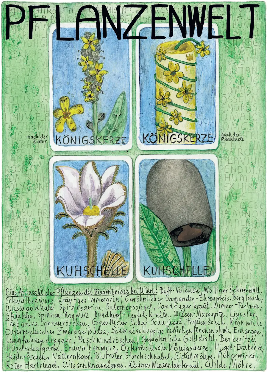 Kulturelle Nachhaltigkeit lernen und lehren - фото 3