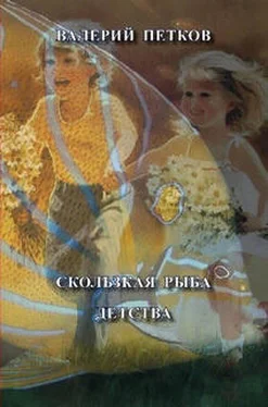 Валерий Петков Скользкая рыба детства обложка книги