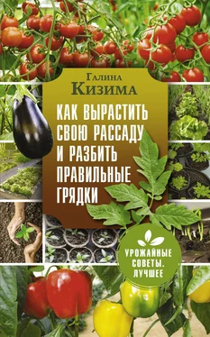 Галина Кизима Как вырастить свою рассаду и разбить правильные грядки обложка книги