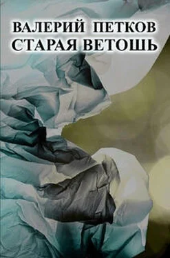 Валерий Петков Старая ветошь обложка книги