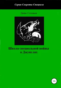 Денис Соловьев Школа специальной войны в Джунглях обложка книги