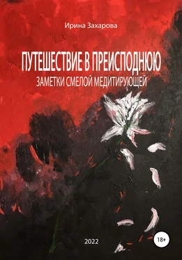 Ирина Захарова Путешествие в Преисподнюю. Заметки смелой медитирующей обложка книги