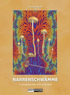 Jochen Gartz Narrenschwämme обложка книги
