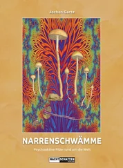 Jochen Gartz - Narrenschwämme